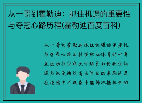 从一哥到霍勒迪：抓住机遇的重要性与夺冠心路历程(霍勒迪百度百科)