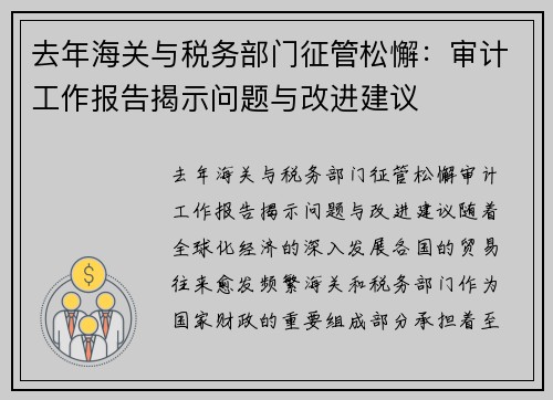 去年海关与税务部门征管松懈：审计工作报告揭示问题与改进建议