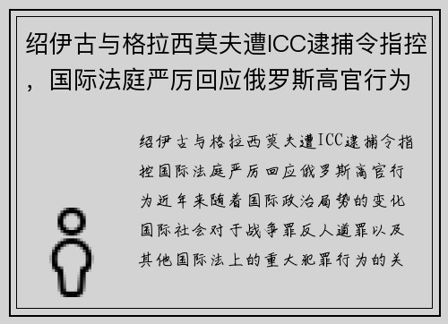 绍伊古与格拉西莫夫遭ICC逮捕令指控，国际法庭严厉回应俄罗斯高官行为